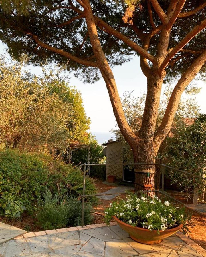 Il Gelso Bed & Breakfast San Bartolomeo  Екстериор снимка