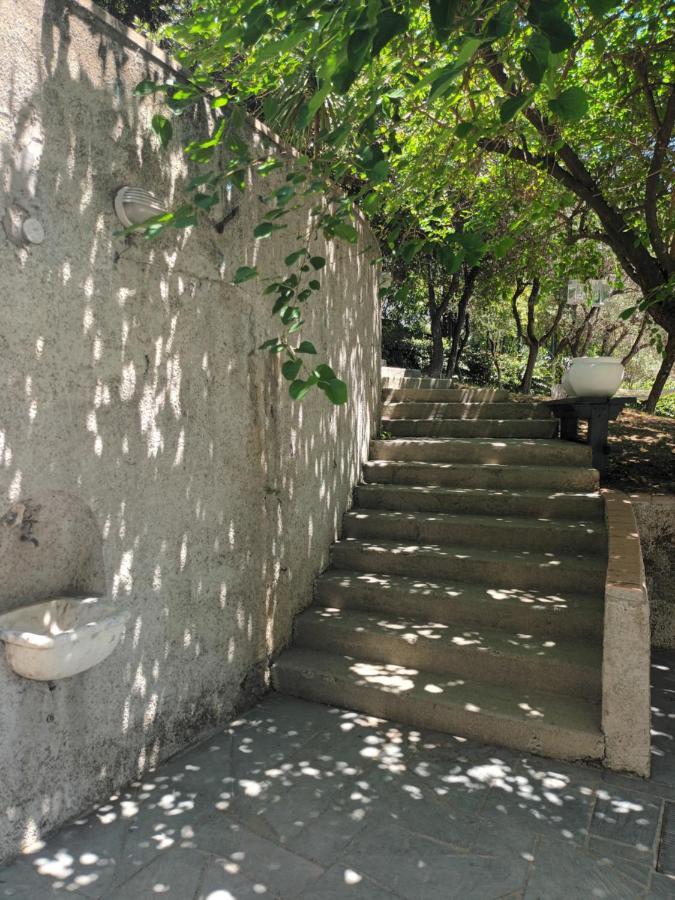 Il Gelso Bed & Breakfast San Bartolomeo  Екстериор снимка