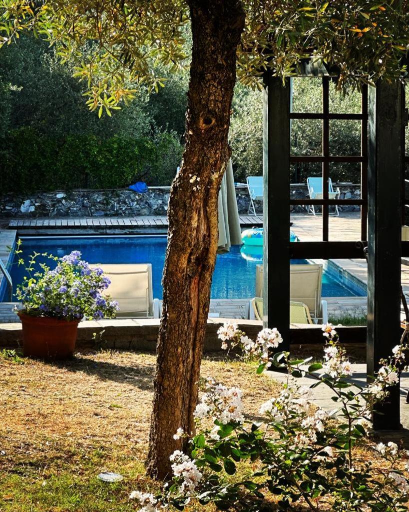 Il Gelso Bed & Breakfast San Bartolomeo  Екстериор снимка